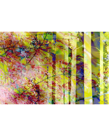 ERABLE I - SUPERPOSITION CHROMATIQUE - François Chauvin