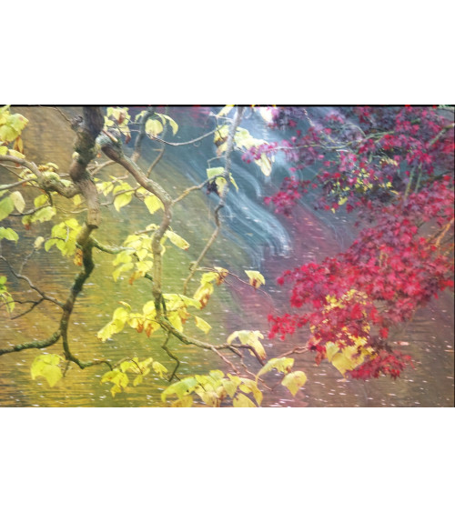 ERABLE VII - BRANCHES SUR L'EAU - François Chauvin