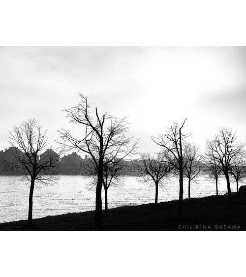 Loire saumuroise en noir et blanc