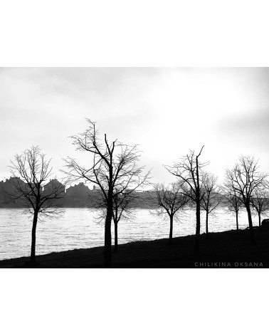 Loire saumuroise en noir et blanc