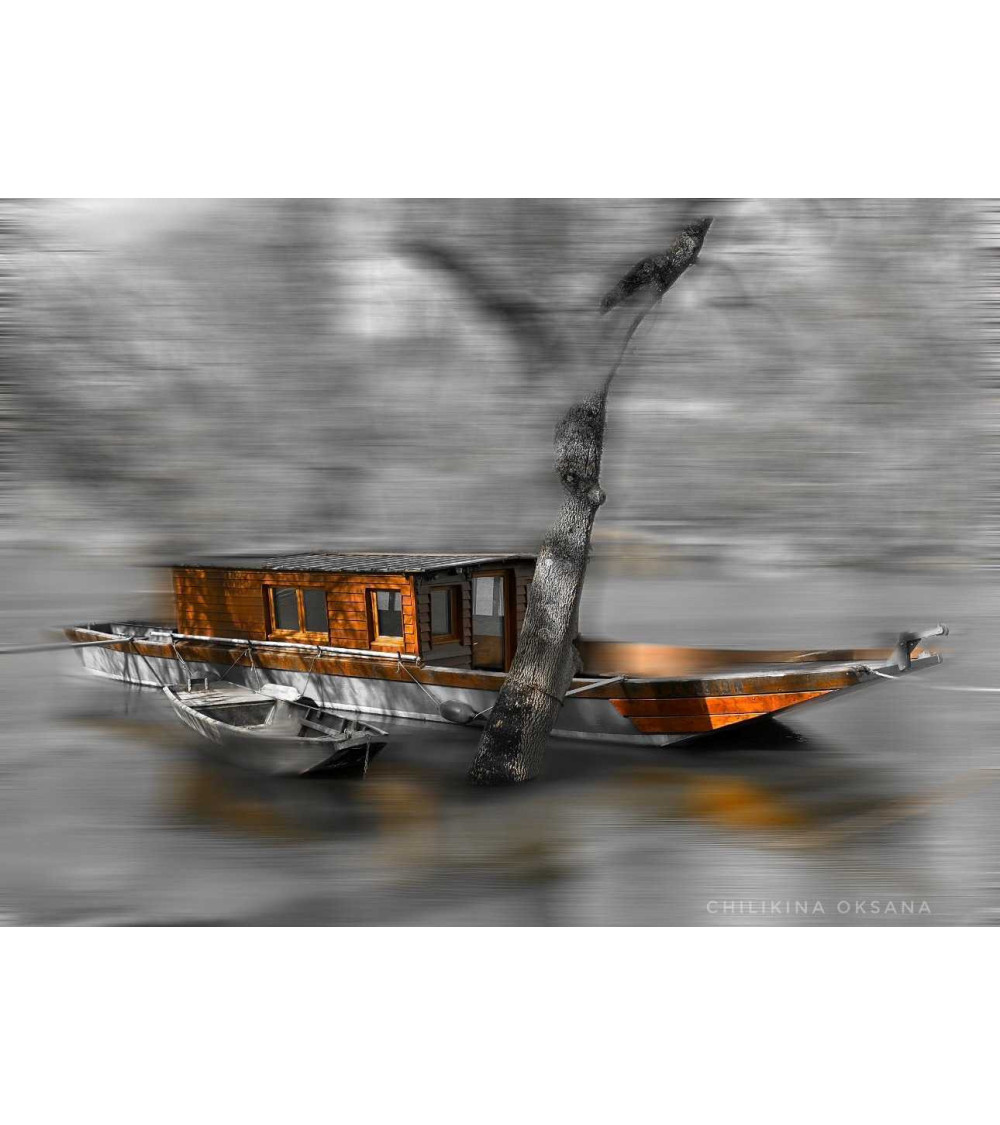 La Toue cabanée – Digigraphie Loire | Oksana Chilikina