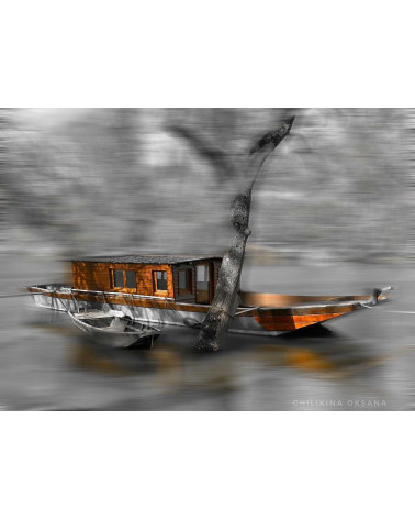 La Toue cabanée – Digigraphie Loire | Oksana Chilikina