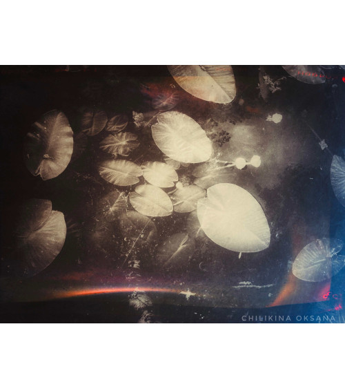 Nénuphars sur Loire – Digigraphie d’art | Oksana Chilikina