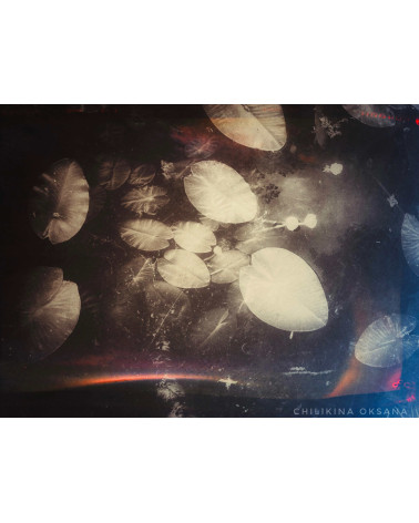 Nénuphars sur Loire – Digigraphie d’art | Oksana Chilikina