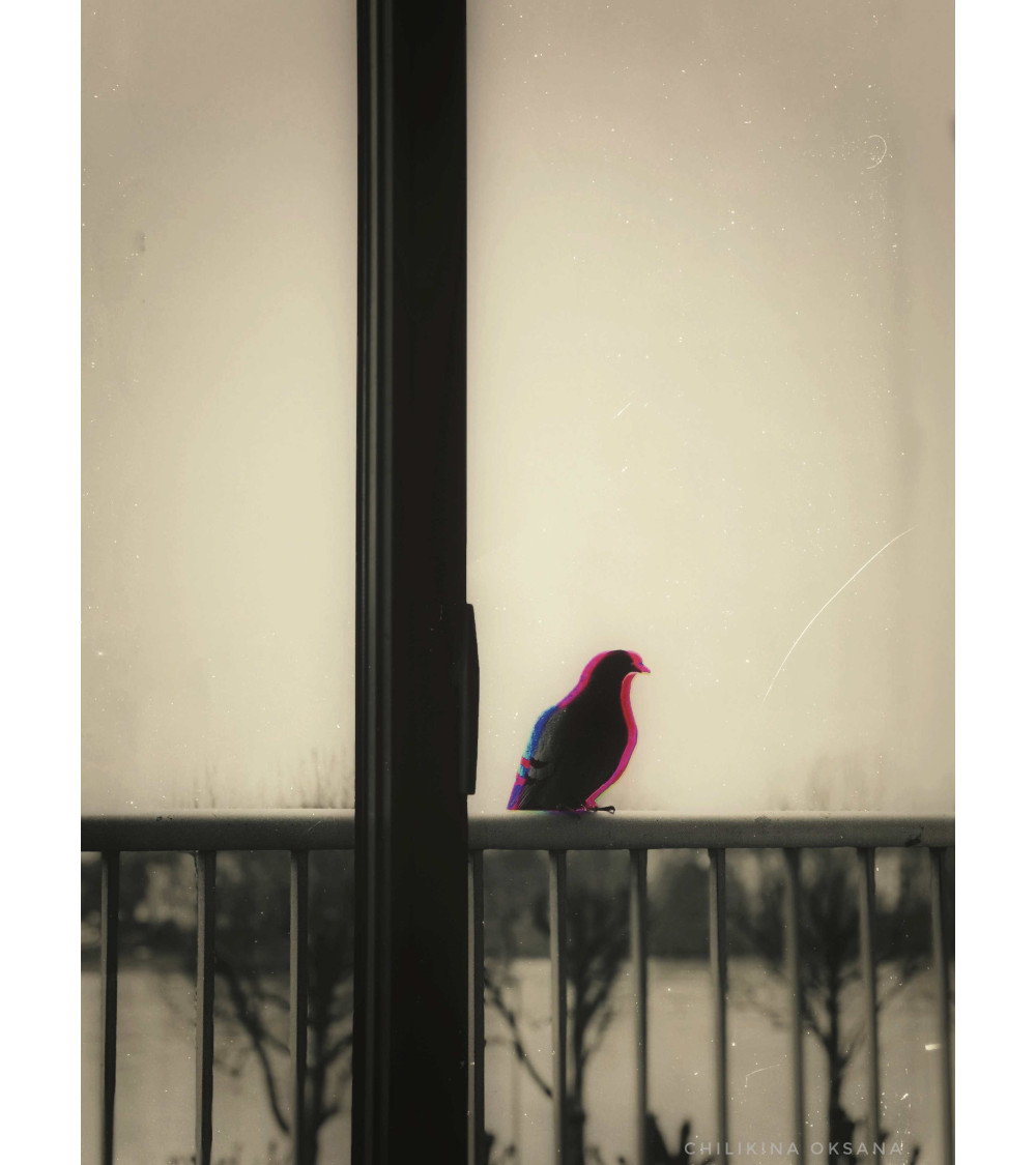 Le messager – Digigraphie d’art | Oksana Chilikina