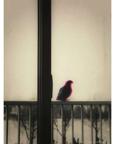 Le messager – Digigraphie d’art | Oksana Chilikina