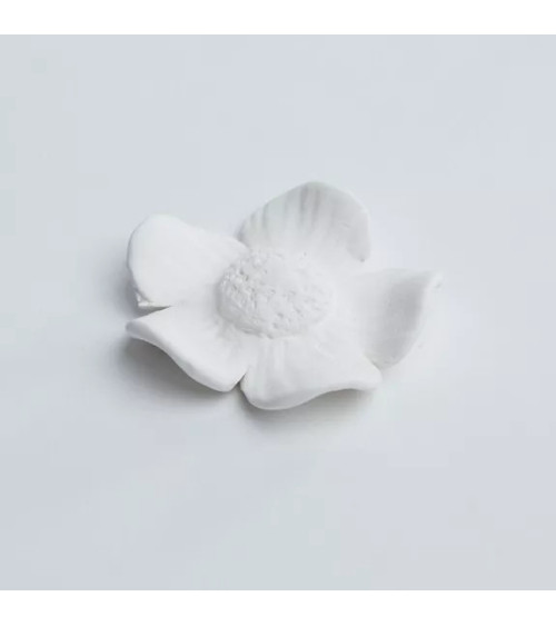 Diffuseur de parfums et d'huiles essentielles, en porcelaine et fabriq