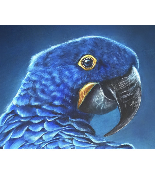 Très beau ara Hyacinthe par la peintre animalière Constance SCHROEDER.