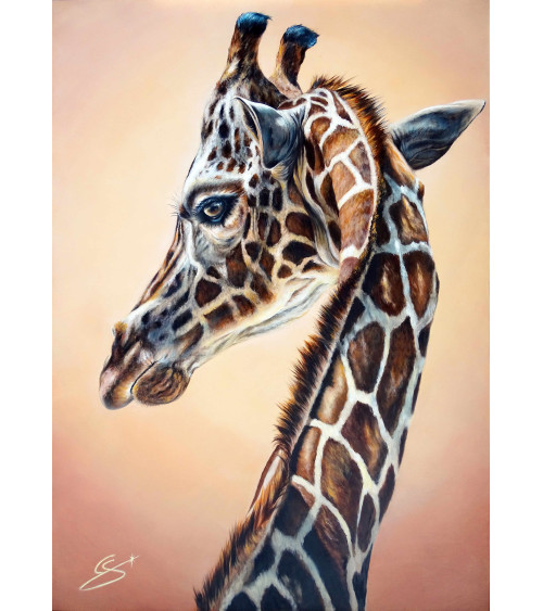 Girafe élégance au regard envoutant et charmeur de Constance Schroeder