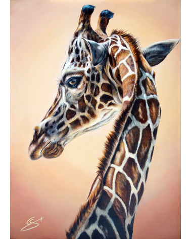 Girafe élégance au regard envoutant et charmeur de Constance Schroeder