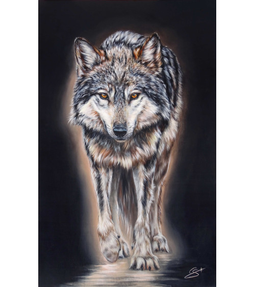 Loup de face, peint par Constance Schroeder au regard félin envoutant.