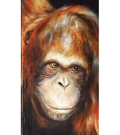 Orang-outan qui tend la main vers la lumière, de Constance Schroeder .