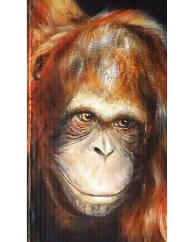 Orang-outan qui tend la main vers la lumière, de Constance Schroeder .